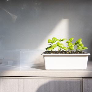 Cây giống bắt đầu Hộp nhà máy trong nhà nảy mầm hộp hạt giống bắt đầu nhà kính cây giống Starter Kit với hạt giống bắt đầu khay - Product Image 5