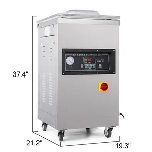 Scellant sous vide DZ-400/2E automatique Extra profond 200mm alimentaire sous vide Machine à emballer