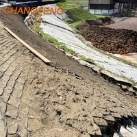 Géocell HDPE 200mm 250mm pour la stabilisation des fondations sur sols molles, le soutien des zones marécageuses et la résistance aux charges