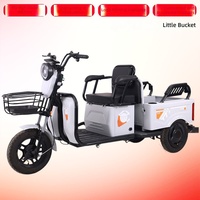 Tricycle électrique de fret transfrontalier à batterie, modèle à petit plateau, puissance <200W, vitesse supérieure à 20km/h, tension 48V