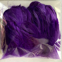 Plume d'oie naturelle pour artisanat artistique bricolage stylo aile coiffure Costume chapeau accessoire de cheveux carnaval fête mariage maison décor de noël