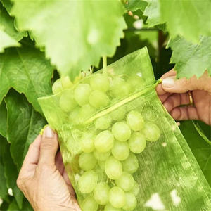 15*20CM Sacs de <span class=keywords><strong>protection</strong></span> <span class=keywords><strong>contre</strong></span> les fruits Sac de <span class=keywords><strong>protection</strong></span> <span class=keywords><strong>contre</strong></span> les insectes et les moustiques Sac de <span class=keywords><strong>protection</strong></span> <span class=keywords><strong>contre</strong></span> la guêpe Frass Birds Cherry - Product Image 5