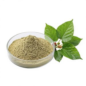 天然桑の葉エキス 食品グレード 高含有量 <span class=keywords><strong>DNJ</strong></span> フラボノイド 食用 低血糖作用 脂質低下作用 健康食品グレード パウダー - Product Image 1