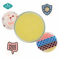 Marque privée Nutrifirst Bonbons probiotiques personnalisés Gummy Capsule molle soluble dans l'intestin miniature sans couture colorée à 3 couches