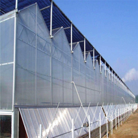 Serre agricole commerciale multi-chapelles en polycarbonate à haute transmission lumineuse (plus de 90%) et galvanisée à chaud pour la réduction de la consommation d'énergie