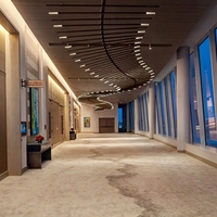 Tapis Axminster personnalisés pour salle de banquet de luxe Revêtement de sol chambres d'hôtel Mur à mur Tapis de casino