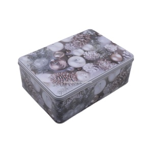 customized storage boxes gift cookie cracker card chocolate candy bonbons tin packaging box estojos stash can estuche