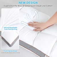 Weiches Nackenkissen Queen-Size Schlafkissen Superweiche Unterstützung Alternative Kissen 100% Baumwollhülle Hypoallergen Luxuriös Bequem Flauschig Bett