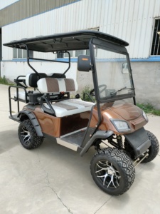 Carrito de Golf Eléctrico de 7-8 Plazas, 30-50 km/h, Autonomía de 50-70 km, Precio Bajo de Fábrica, Alta Calidad - Product Image 5
