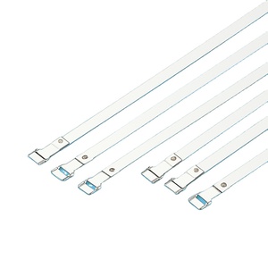 Ad 2023 Échantillon gratuit 6X400mm Micro Type SS304 Attaches de câble en acier inoxydable Attache à glissière en métal - Product Image 1