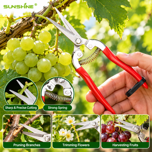 SUNSHINE <span class=keywords><strong>Pas</strong></span> <span class=keywords><strong>Cher</strong></span> Prix Professionnel 8''sécateur De Chine Alliage Bypass Jardin Arbre pomme Bonsaï Raisin Rouge Acier Ciseaux - Product Image 6