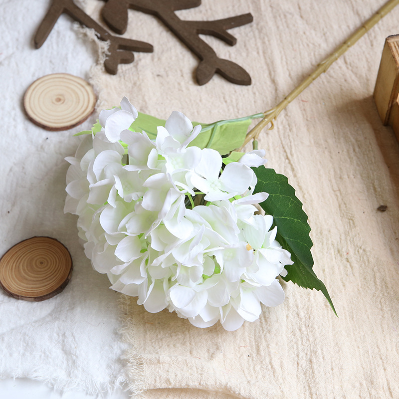 Blanc