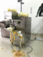 Professionele Perzik Sinaasappel Ananas Fruit Schilmachine Mango Dunschiller En Corer Machines Prijs