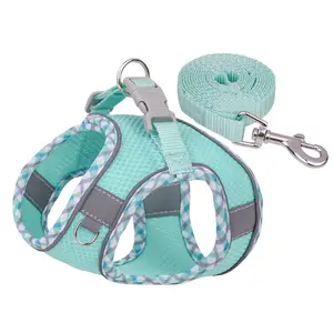 Harnais pour chien, petit, moyen et grand chien, sans traction, harnais et laisse pour chiot, harnais pour chat, produits pour chien