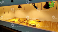 Terrarium professionnel en PVC pour reptiles, cage d'élevage intelligente thermostatée pour petits animaux, terrarium empilable pour reptiles