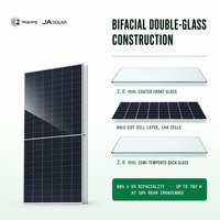 Panneau solaire bifacial double vitrage JA Solar JAM72D42 LB 625-650W de type N, DeepBlue 4.0 Pro, module à 23,3 % d'efficacité pour ferme solaire