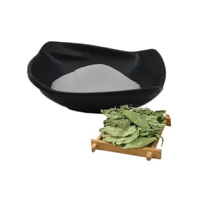 Polvo <span class=keywords><strong>de</strong></span> <span class=keywords><strong>Stevia</strong></span> Venta al por mayor Steviosides 80% Stevioside Steiva Extracto <span class=keywords><strong>Stevia</strong></span> Azúcar <span class=keywords><strong>Precio</strong></span> a granel - Product Image 1