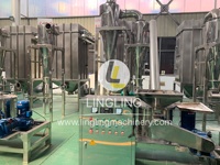 Wfj Hoge Snelheid Industriële Eierschaal Poedermachine Fruitmaalmachines Met Ce-Certificering