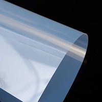 Film de Transparence Jet d'Encre Étanche A3+ pour Sérigraphie, Papier Transparent pour Imprimantes, Projecteurs et Artisanat