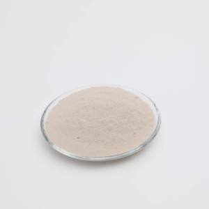 Biofertilizante Concentrado de Actinomicetos YIDA Biotech, Streptomyces Flavofungini, Ácido Húmico, <span class=keywords><strong>Compost</strong></span> <span class=keywords><strong>en</strong></span> Polvo, Acondicionador de Suelo - Product Image 2