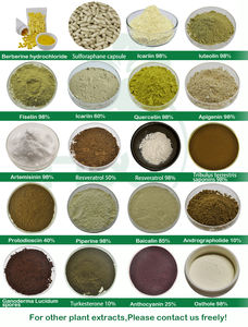 Op Maat Gemaakte Quercetine <span class=keywords><strong>Capsule</strong></span> <span class=keywords><strong>Sophora</strong></span> <span class=keywords><strong>Japonica</strong></span> <span class=keywords><strong>Extract</strong></span> Quercetine <span class=keywords><strong>Capsule</strong></span> - Product Image 6