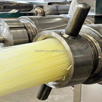Machine multifonctionnelle à nouilles et vermicelles en acier inoxydable 304 avec moteur, prix compétitif