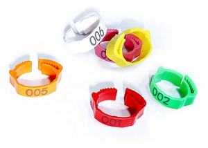 Anillos <span class=keywords><strong>de</strong></span> pierna <span class=keywords><strong>de</strong></span> pollo numerados <span class=keywords><strong>de</strong></span> 14-22mm para patos, <span class=keywords><strong>pollitos</strong></span>, cobayas, palomas, gansos, suministro <span class=keywords><strong>de</strong></span> granja nuevo - Product Image 2