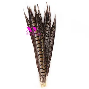 Grosir 50-55 Cm Dicelup Hot Pink Lady Amherst Pheasant Sisi Ekor Bulu untuk Karnaval Brazil Kostum