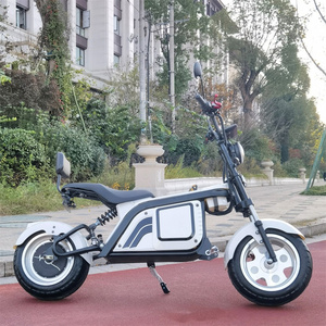 Nuevo Diseño de Alta Potencia, Citycoco con Llantas Gruesas, 2000W 3000W, Modelo Brother Ck - Product Image 4