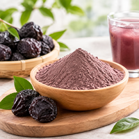 Poudre de Prune Noire Fine, Extrait de Fruit Séché par Pulvérisation, Ingrédient de Qualité Alimentaire pour Compléments Alimentaires et Boissons, Vente en Gros OEM