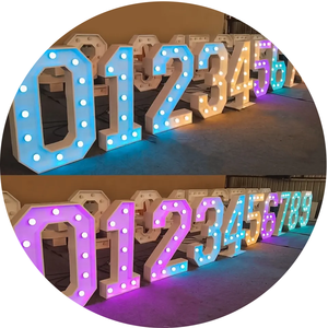 Enseignes lumineuses géantes DS Signs, transformateur électronique LED RGB, 4 pieds, 5 pieds, enseigne lumineuse pour bureaux, magasins, événements, mariages - Product Image 2