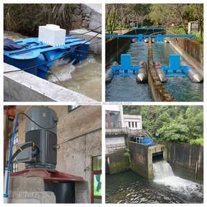 Высокоэффективное гидроэлектрическое оборудование: гидротурбины Френсиса мощностью 100 кВт, 200 кВт, 400 кВт для гидроэлектростанций - Product Image 5