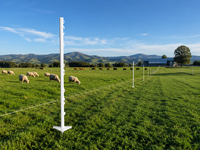 Poteau de clôture électrique renforcé en PP de 1,04 m avec pointe galvanisée et 7 supports pour clôture temporaire d'animaux de ferme