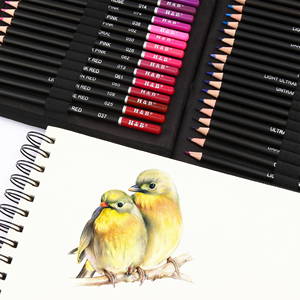Ensemble <span class=keywords><strong>de</strong></span> 145 crayons à dessin et crayons <span class=keywords><strong>de</strong></span> couleur pour artistes - Product Image 3
