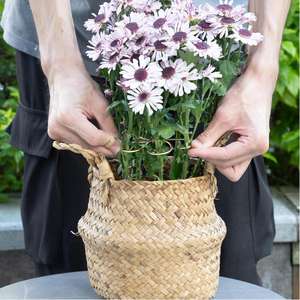 <span class=keywords><strong>Support</strong></span> pour tiges de plantes - <span class=keywords><strong>Support</strong></span> en acier durable pour plantes grimpantes Monstera, design moderne et léger, pour l'intérieur et l'extérieur du jardin - Product Image 5