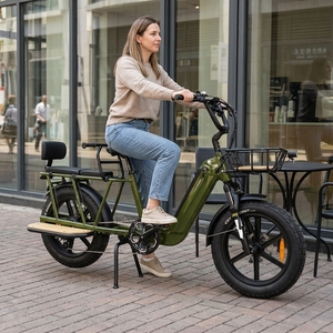 Bicicleta de Neumáticos Anchos de 20 Pulgadas para Mujeres, Familias y Desplazamientos Urbanos, 48V 20Ah 1000 - Product Image 6