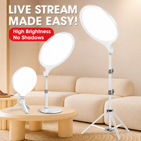 Anneau lumineux LED à panneau plat, lumière d'appoint douce et ronde avec support réglable, intensité réglable, idéal pour le maquillage, les portraits et les vlogs