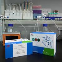 Kit Penelitian ELISA Peptida Mirip Insulin Manusia INSL5
