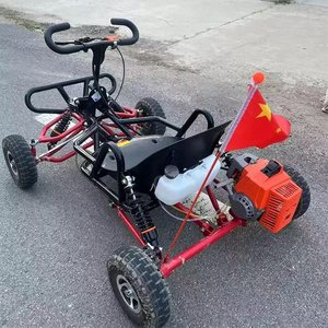 63cc chuyên nghiệp bền động cơ ổ đĩa đua khí đi Kart người lớn ngoài trời 2 đột quỵ off-road karting Buggy - Product Image 3