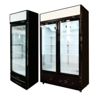 Réfrigérateur commercial de 300 L pour boissons, vitrine réfrigérée pour bouteilles d'eau, refroidisseur vertical