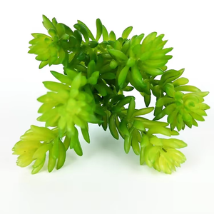 人工多肉植物ミニジューシー人工緑かわいい多肉植物盆栽装飾ホーム & オフィスグリーン装飾工場 - Product Image 5