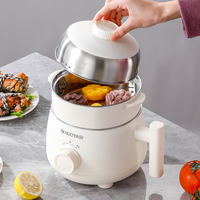 Cuisinière électrique portable avec cuve et panier en acier inoxydable 304 pour cuisson vapeur, idéale pour l'extérieur, la maison et l'hôtellerie
