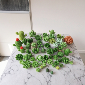 Cây Xương Rồng hương liệu Silicone khuôn làm bằng tay cốc sáp cây xương rồng mọng nước nến khuôn tự làm nhỏ giọt nhựa trang trí - Product Image 1