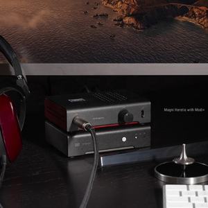 Amplificador de Potencia Estéreo de Escritorio Schiit MAGNI+ HERETIC, Fabricado con CNC en Acero Inoxidable/Acero/Aluminio, Color/Tamaño/Grosor Personalizables - Product Image 5