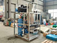 Machine à glaçons en flocons commerciale automatique à refroidissement rapide par eau, moteur haute précision, capacité de stockage de 500 kg pour la congélation et la conservation