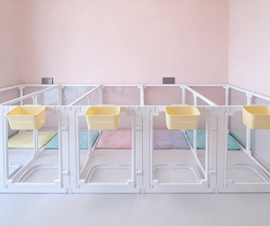Recinto <span class=keywords><strong>per</strong></span> Gatti in ABS PET Completamente Trasparente Gabbia di Sicurezza <span class=keywords><strong>per</strong></span> Uso Interno Casa Balcone Facile Installazione <span class=keywords><strong>Recinzione</strong></span> <span class=keywords><strong>per</strong></span> Piccoli Animali - Product Image 2
