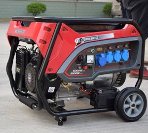 Nuovo Generatore a Gas Naturale Monofase 220V 5000 Watt 5kW, Generatori a Benzina per Uso Domestico - Product Image 6