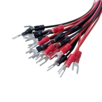 Kustom JST VH 3.96Mm 2 Pin Ke Garpu Kawat Teminal dengan Kabel AWG18