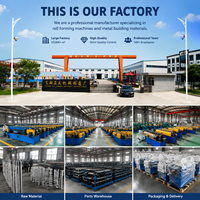Macchina Automatica per la Formatura di Pannelli Metallici per Soffitti, per la Produzione di Piastrelle a Clip per Controsoffitti
