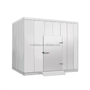 <span class=keywords><strong>Chambre</strong></span> <span class=keywords><strong>froide</strong></span> adaptée aux besoins du client par température positive ou négative de pièce de congélateur - Product Image 1
